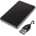 Generic Carry Disk USB v2 Icon